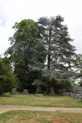Ancienne abbaye - 