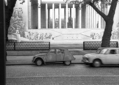 Le Palais de Tokyo et le Musée d’art moderne de la Ville de Paris - 