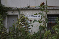 Le Palais de Tokyo et le Musée d’art moderne de la Ville de Paris - 