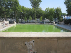 Le Palais de Tokyo et le Musée d’art moderne de la Ville de Paris - 