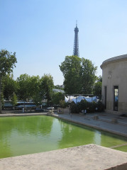Le Palais de Tokyo et le Musée d’art moderne de la Ville de Paris - 