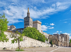Cathédrale Notre-Dame-des-Doms - 
