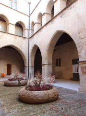Ancien petit séminaire, dit Petit Palais ou Palais Jules II, actuellement Musée du Petit Palais - 
