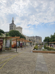 Ancien petit séminaire, dit Petit Palais ou Palais Jules II, actuellement Musée du Petit Palais - 