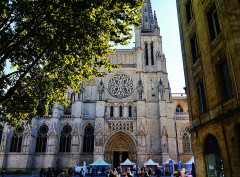 Cathédrale Saint-André - 