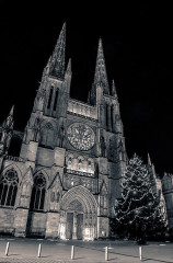 Cathédrale Saint-André - 
