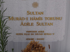 Cimetière musulman - 