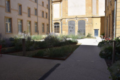 Musées de la Cour d'or - 