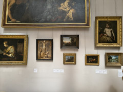Musée des beaux-arts Antoine Lécuyer - 