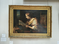 Musée des beaux-arts Antoine Lécuyer - 