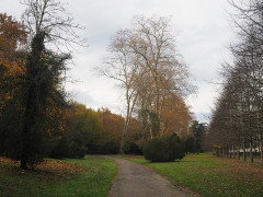 Domaine du château de Pau ou château Henri IV - 