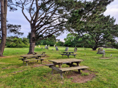Cromlech de Kergenan - 