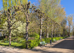 Jardin des Prés Fichaux - 