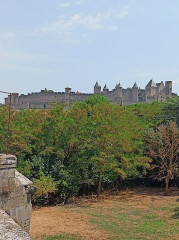 Pont-Vieux - 