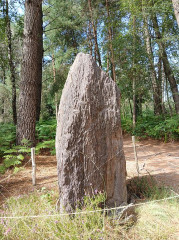 Site mégalithique des Pierres Droites - 