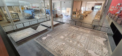 Musée de l'Arles antique - 
