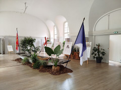 Hôtel de ville, ancien Hôtel de Hanau - 