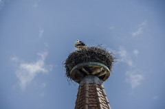 Enceintes fortifiées urbaines - 