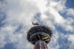 Enceintes fortifiées urbaines - 