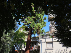 Immeuble dit Villa ou Tour Hennebique - 