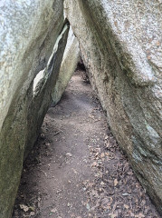 Allée couverte de Lesconil dite Ty-arc'horriquet - 