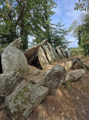 Allée couverte de Lesconil dite Ty-arc'horriquet - 