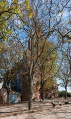 Église Saint-Martin - 