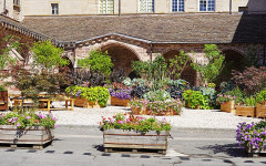 Ancienne abbaye Saint-Colomban - 