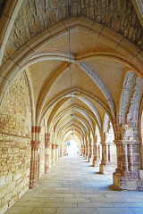 Ancienne abbaye Saint-Colomban - 