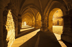 Ancienne abbaye Saint-Colomban - 