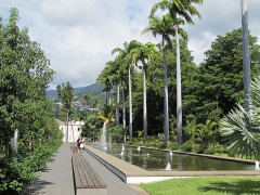 Muséum d'Histoire Naturelle - 