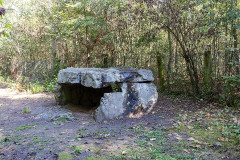 Dolmen du Bois - 