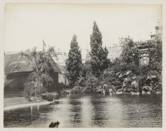 Chalet suédois - 