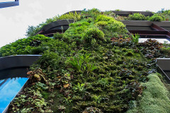 Musée du Quai Branly – Jacques Chirac - 