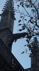 Église Saint-Germain-l'Auxerrois - 