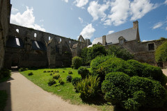 Ruines de l'abbaye de Beauport - 