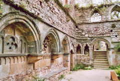 Ruines de l'abbaye de Beauport - 