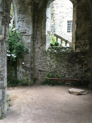 Ruines de l'abbaye de Beauport - 