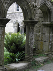 Ruines de l'abbaye de Beauport - 