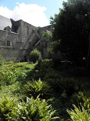 Ruines de l'abbaye de Beauport - 