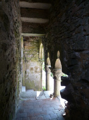 Ruines de l'abbaye de Beauport - 