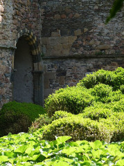 Ruines de l'abbaye de Beauport - 