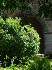 Ruines de l'abbaye de Beauport - 