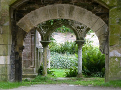 Ruines de l'abbaye de Beauport - 