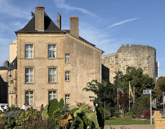 Tour aux Puces - 