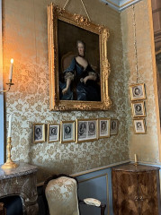 Château de Voltaire - 