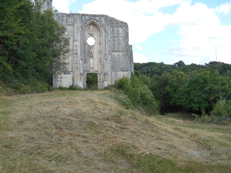 Ruines du château et de la collégiale des Roches-Tranchelion à Avon-les
