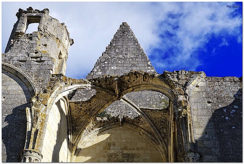 Ruines du château et de la collégiale des Roches-Tranchelion à Avon-les